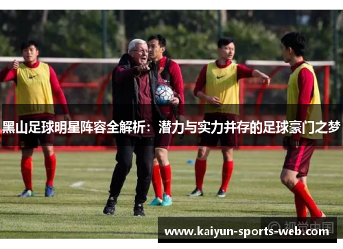 黑山足球明星阵容全解析：潜力与实力并存的足球豪门之梦