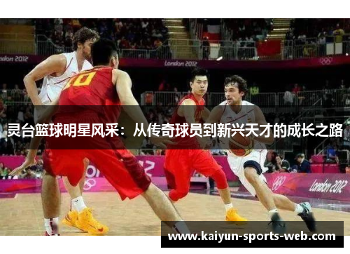 灵台篮球明星风采：从传奇球员到新兴天才的成长之路