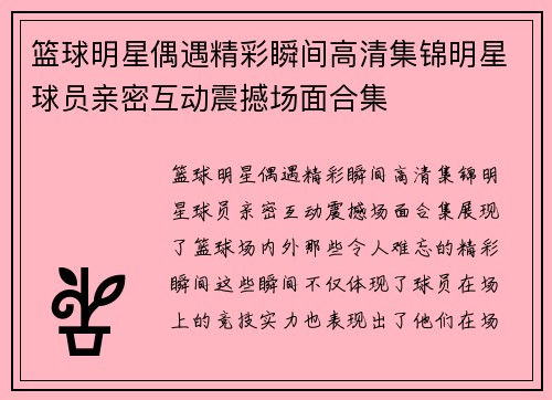 篮球明星偶遇精彩瞬间高清集锦明星球员亲密互动震撼场面合集